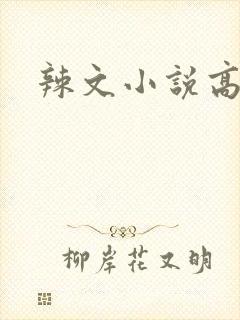 辣文小说高h