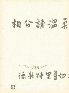相公请温柔一点封面