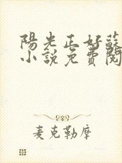 阳光正好苏玥玥小说免费阅读封面