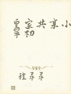 皇家共享小公主宁初