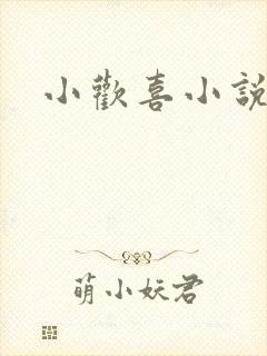 小欢喜小说