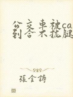 公交车被cao到合不拢腿视频