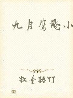 九月鹰飞小说封面