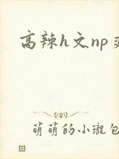 高辣h文np爽封面