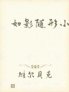 如影随形小说