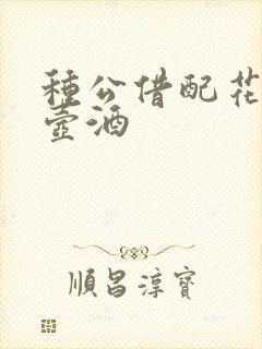 种公借配花间一壶酒