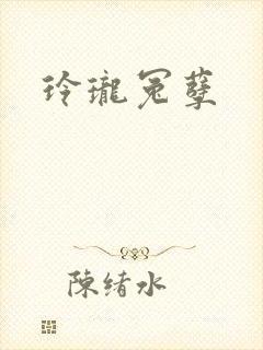玲珑冤孽