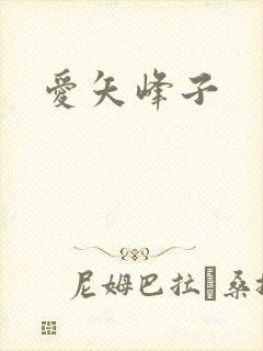 爱矢峰子封面