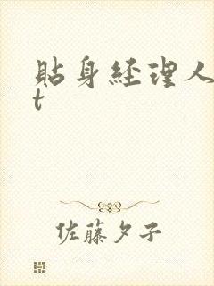 贴身经理人txt