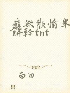 瘾欲欢愉半块小饼干tnt