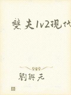 双夫1v2现代