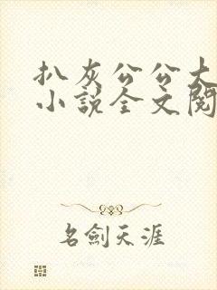 扒灰公公大杂烩小说全文阅读封面