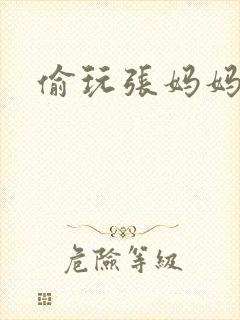 偷玩张妈妈