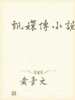 甄嬛传小说