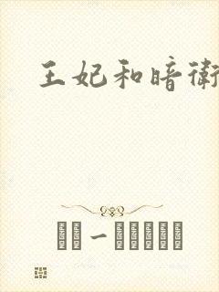 王妃和暗卫野H