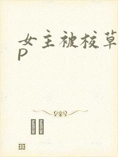 女主被校草们NP