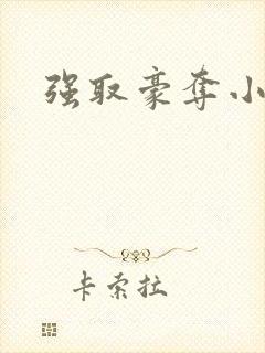 强取豪夺小说封面