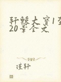 轩辕大宝1至720章全文封面