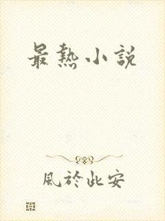 最热小说