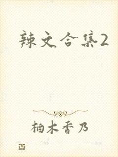辣文合集2