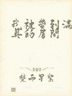 我被带到满是玩具的房间