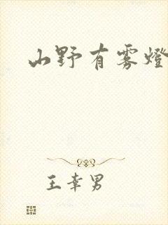 山野有雾灯