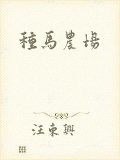 种马农场封面