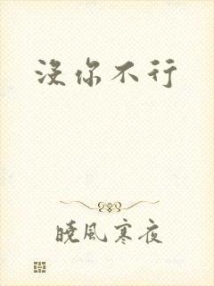 没你不行封面