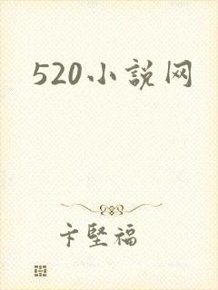 520小说网