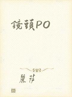 镜头PO