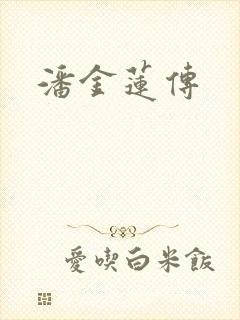 潘金莲传封面