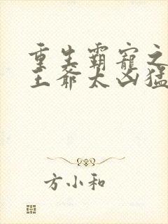 重生霸宠之摄政王爷太凶猛封面