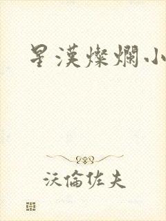 星汉灿烂小说