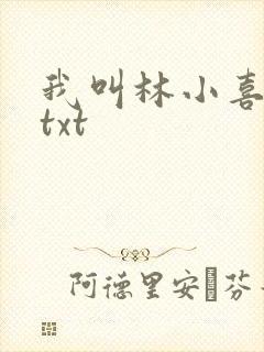 我叫林小喜小说txt
