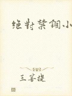 绝对禁锢小说