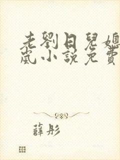 老刘日儿媳妇张岚小说免费阅读