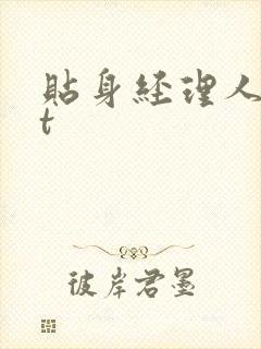 贴身经理人txt
