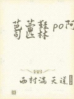芭蕾鞋 po阿司匹林