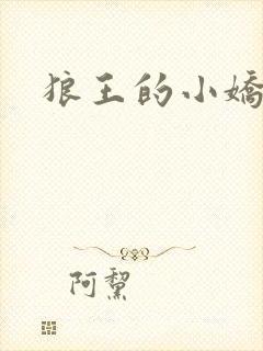 狼王的小娇妻