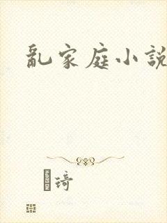乱家庭小说封面