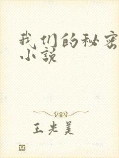 我们的秘密泰剧小说