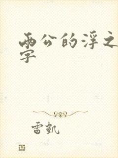 两公的浮之手中字封面