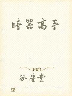 暗器高手