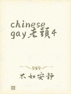 chinesegay老头4封面