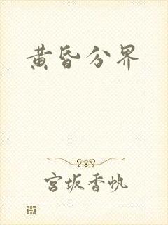 黄昏分界封面