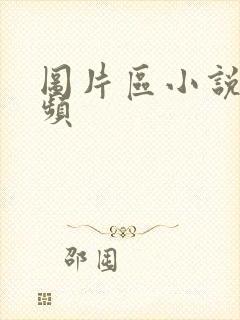 图片区小说区视频