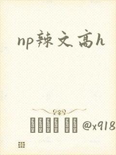 np辣文高h