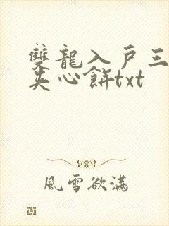 双龙入户三人行夹心饼txt