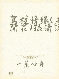 驾校情缘(老树开花)孙潇潇笔趣阁