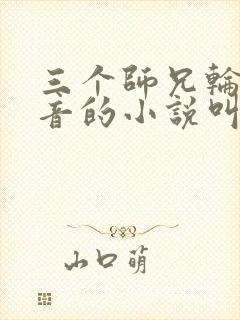 三个师兄轮流上音的小说叫什么封面